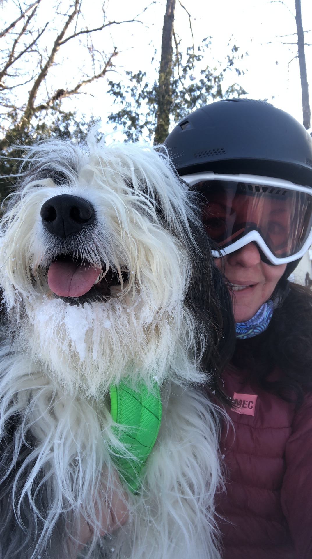 1477CC68-3E2A-4DE8-89E4-AD1FC636E0C6