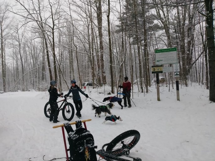 2DF65F46-C2C4-4184-A929-DB6E6F033840